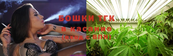 тгк Михайловск