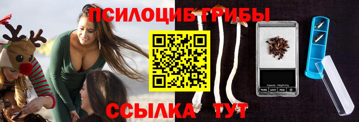 Псилоцибиновые грибы Psilocybe Старый Оскол